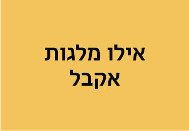 אילו מלגות אקבל אוג24