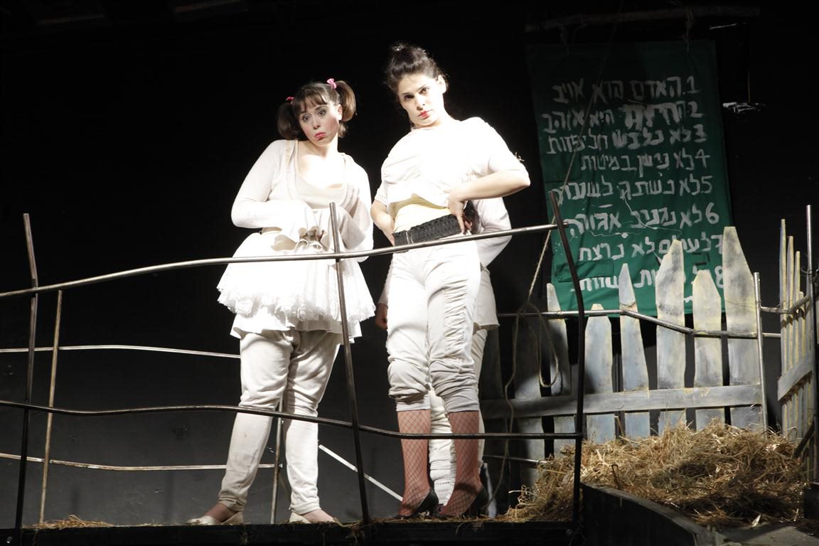 חוות החיות 6