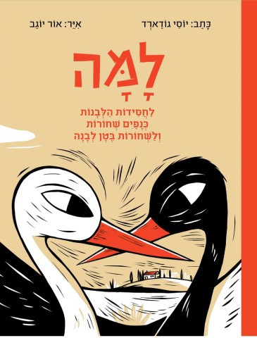 למה לחסידות הלבנות כנפים שחורות ולשחורות בטן לבנה