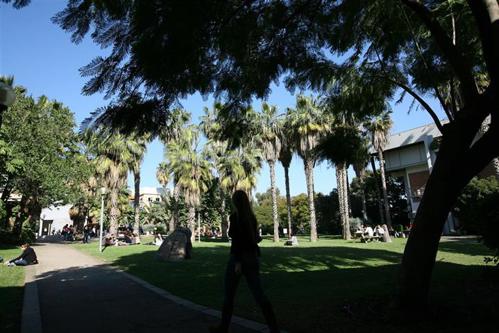 תואר שני בחינוך סביבתי: קיימות קהילה ומנהיגות