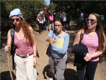 החינוך היצירתי בפעולה