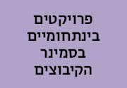 פרויקטים בינתחומיים