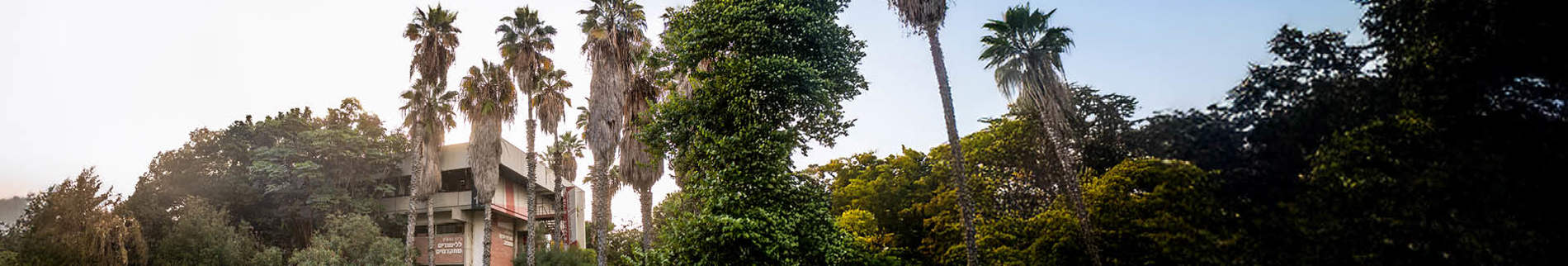 הידר סגל וכללי