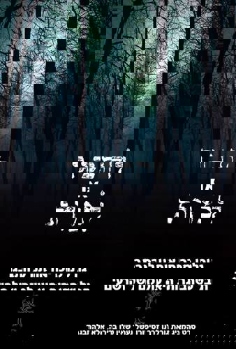 תואר ראשון בתקשורת וקולנוע-אירועים - פסטיבל סרטים