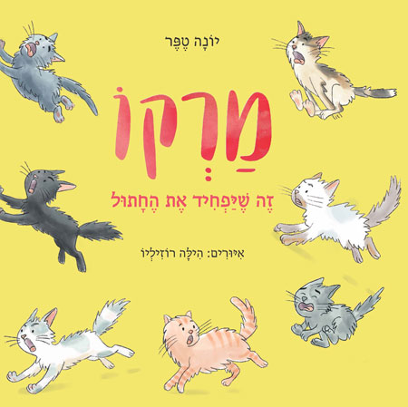 מרקו