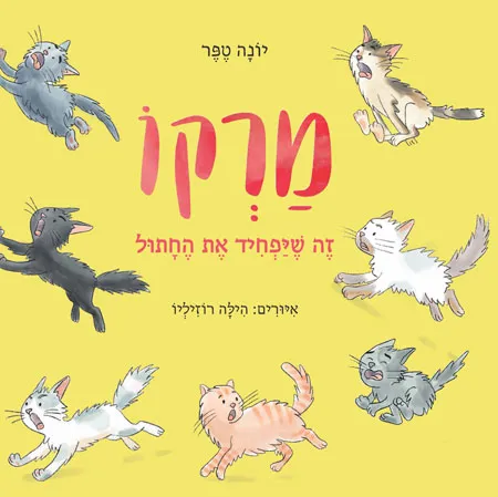 מרקו