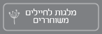 מלגות לחיילים משוחררים
