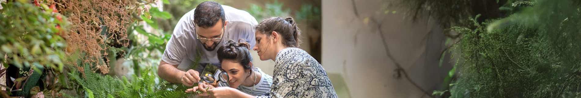 הוצאה לאור קבוצות מחקר