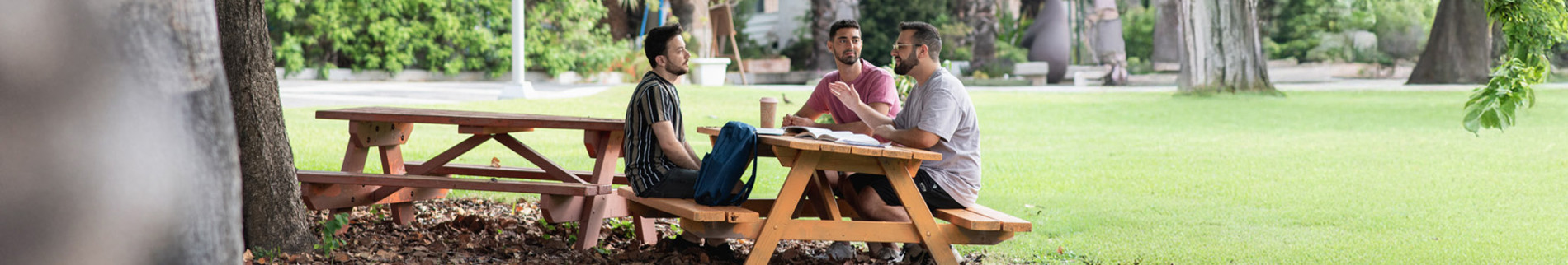 התפתחות מקצועית 1