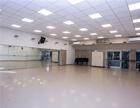 Galleryimage (49)