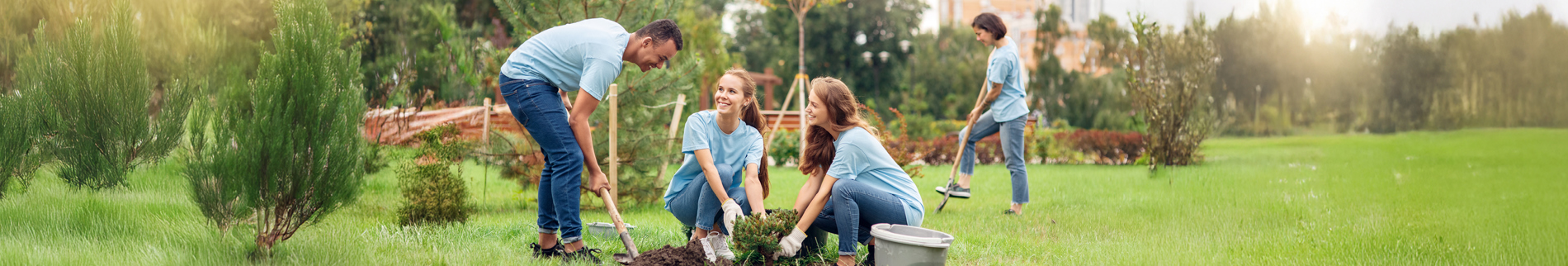 גינון טיפולי