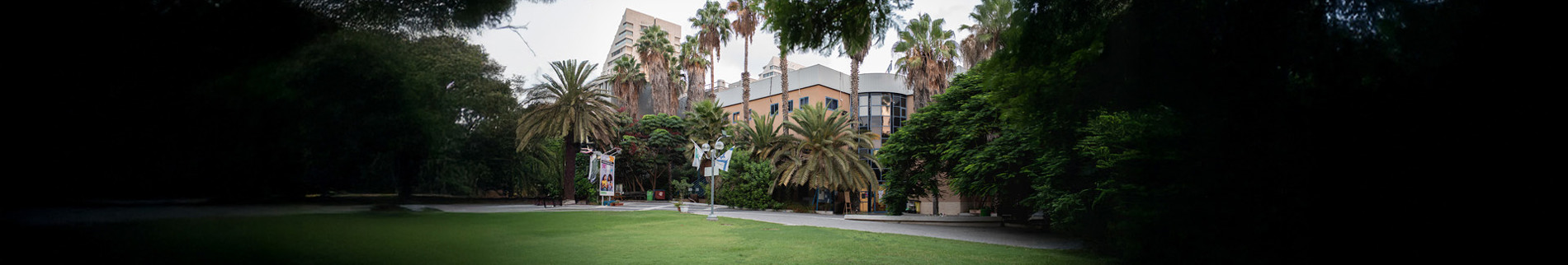 הנהלת המכללה