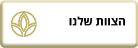הצוות שלנו במהו"ת