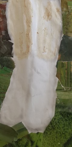 תמונה 3: פרט מתוך דיוקנה של הלן