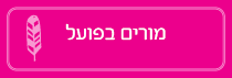 מורים בפועל