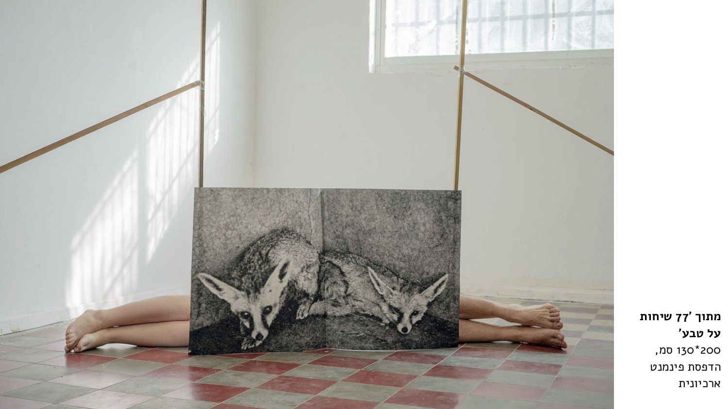 Foxes