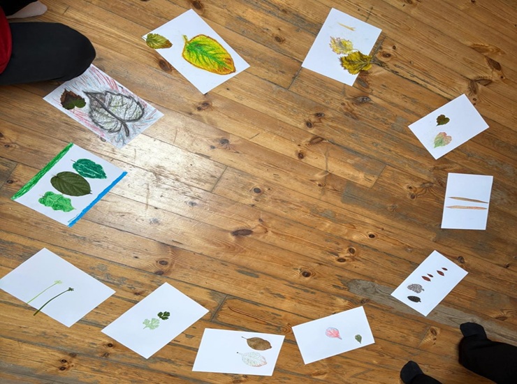 התנסות בקורס