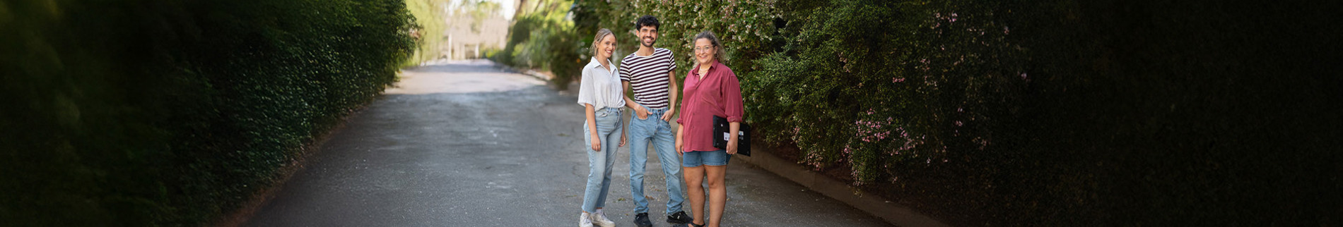 ביס ללימודים מתקדמים