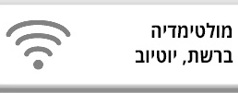 מולטימדיה ברשת, יוטיוב