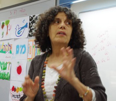 מפגש עם הסופרת מיריק שניר