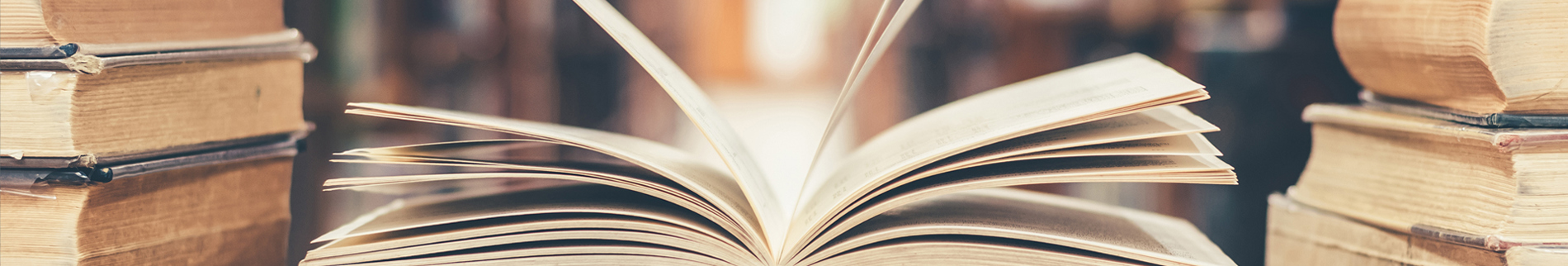 החוג לספרות של תואר ראשון