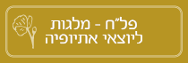 פל"ח - מלגה ליוצאי אתיופיה