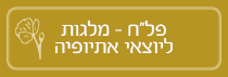 יוצאי אתיופיה