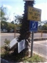 גורל היצירה טלגרפיטי לשלום