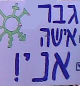 תמונה מס' 15. שלטי סיסמאות טרנסג'נדריות במצעד הגאווה 2008